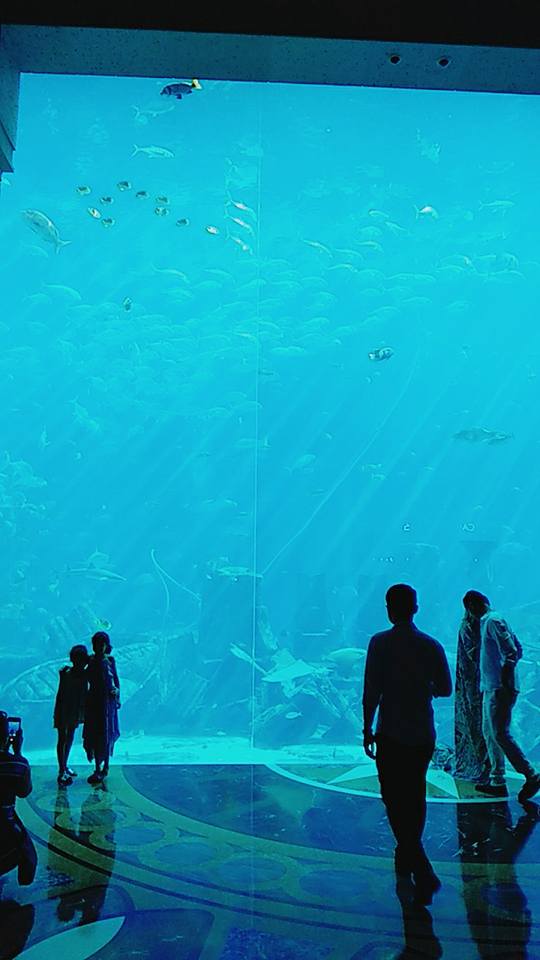 Facebook 圖片